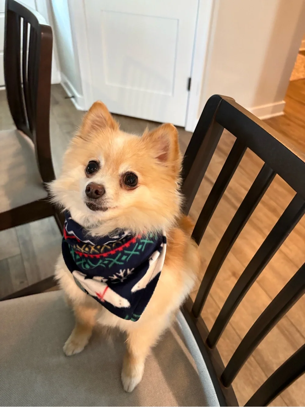 Winter Polar Bear Bandana - Navy Snowflake Print